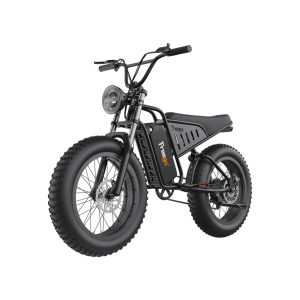 Freego Electric Bike (Raffle 241121548P)