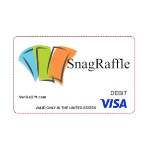 $100 Visa Gift Card (Raffle 241120833P)