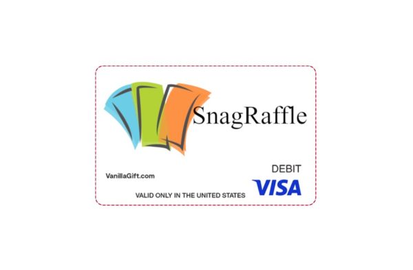 $100 Visa Gift Card (Raffle 241120833P)